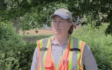 Mountlake Terrace Ballinger Park Aquatic Ecosystem Restoration Project