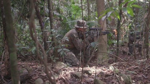 MRF-D 24.3: Fox Co., 2nd Bn., 5th Marines (Rein.) participates in Jungle Warfare Training